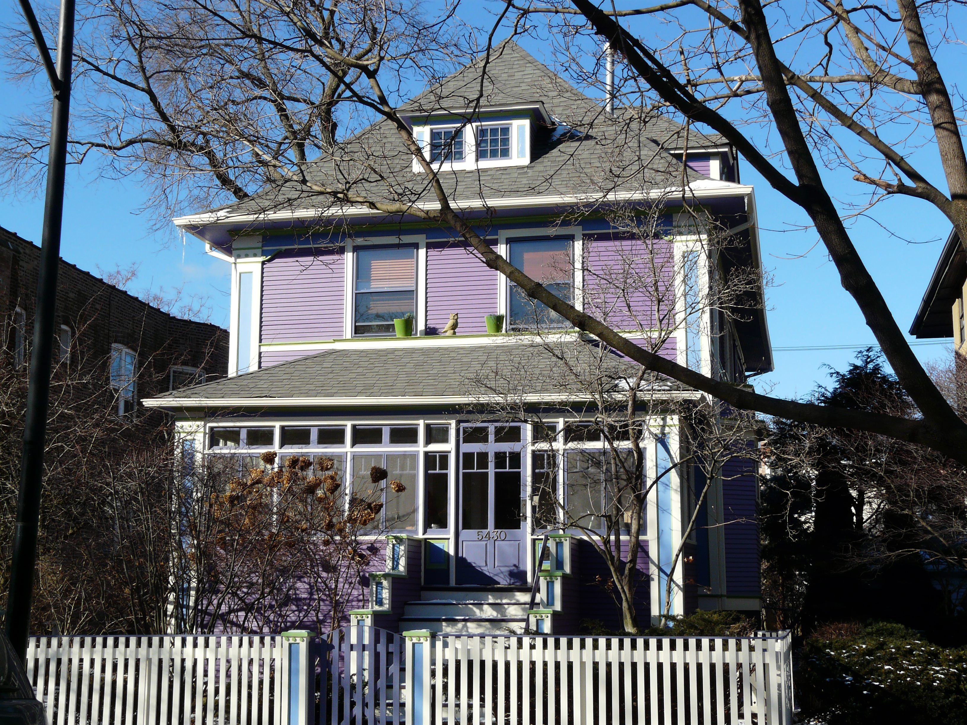 Old Irving Park Painted Lady